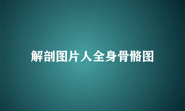 解剖图片人全身骨骼图