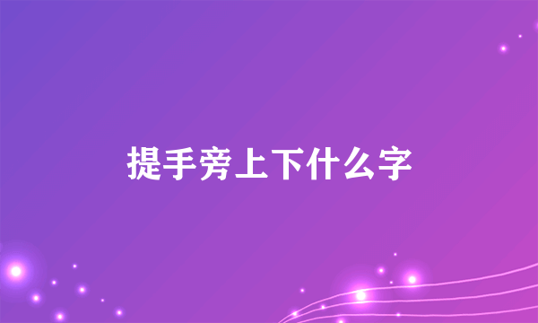 提手旁上下什么字