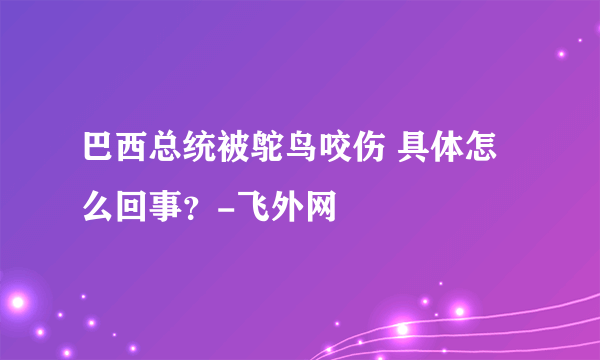 巴西总统被鸵鸟咬伤 具体怎么回事？-飞外网