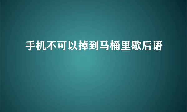 手机不可以掉到马桶里歇后语