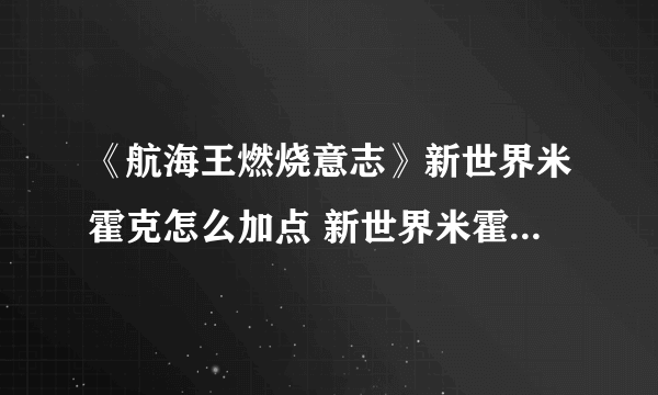 《航海王燃烧意志》新世界米霍克怎么加点 新世界米霍克加点分享