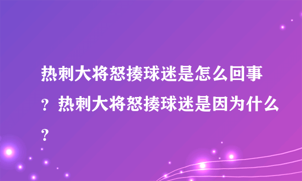 热刺大将怒揍球迷是怎么回事？热刺大将怒揍球迷是因为什么？